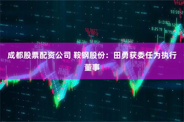 成都股票配资公司 鞍钢股份：田勇获委任为执行董事