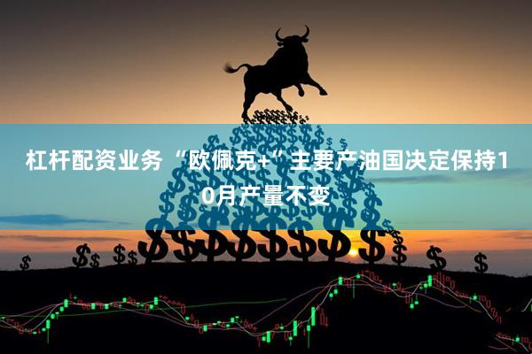 杠杆配资业务 “欧佩克+”主要产油国决定保持10月产量不变