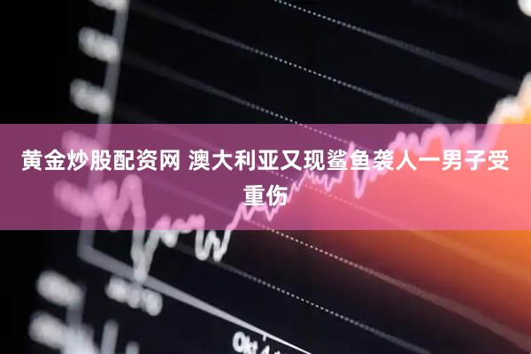 黄金炒股配资网 澳大利亚又现鲨鱼袭人　一男子受重伤